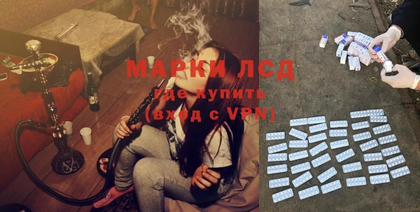 спайс Баксан