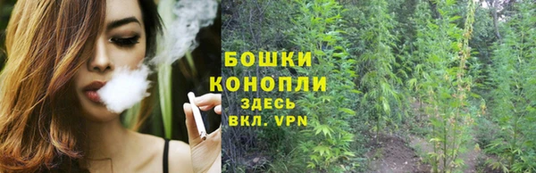 гидропоника Балабаново