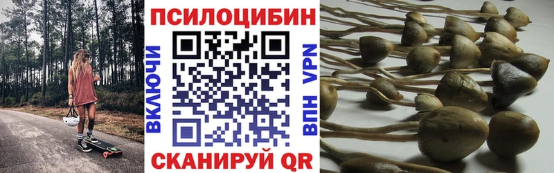 omg как зайти  Кологрив  Галлюциногенные грибы ЛСД 